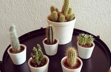 Ferienwohnung Südschwarzwald - Foto 5