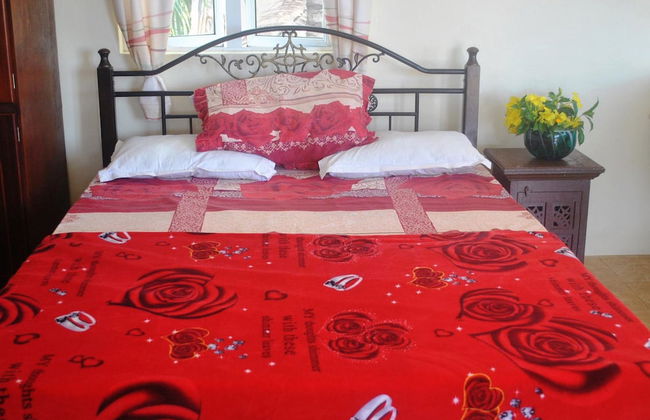 Bob Apartments - Photo 11