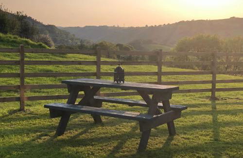 The Peacock Shepherds Hut at Hafoty Boeth - Photo 16