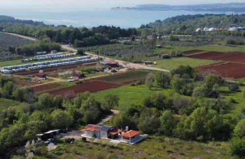 Vacation house ''CASA TERRA'' - Foto 17