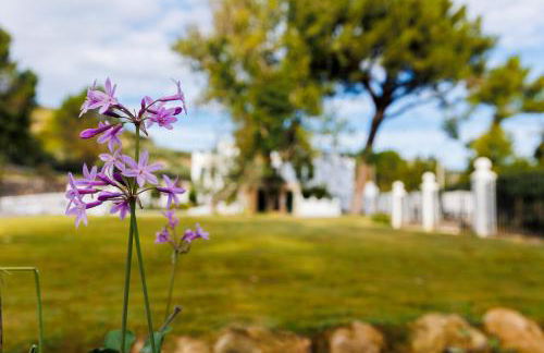 Finca las Pecas - Foto 8