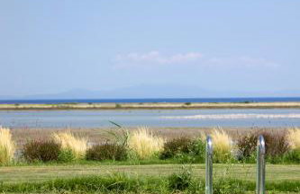 Flamingo Living Halkidiki - The Villas - Foto 8