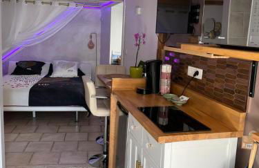 Au Fil De l' Eau 21 rue des Minotiers 43110 Aurec-sur-loire - Foto 21