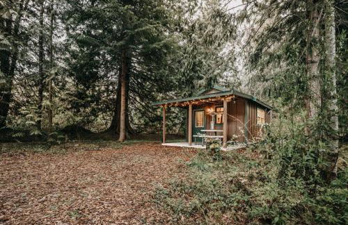 72MF - Rustic - Pets Ok - Sleeps 2 cabin - Photo 2