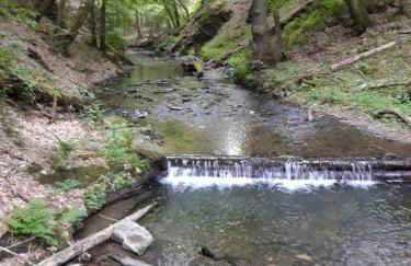 Ferienwohnung Adelheid Brachtendorf - Foto 27