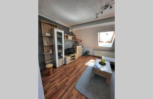 Ferienwohnung mit Elbwiesenblick - Foto 24