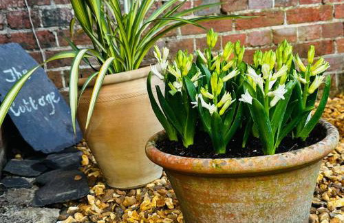 Charming rural cottage & private garden near South Downs - Great location for hiking - Photo 8