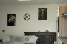 Casa Martini, appartamento con giardino - Photo 3