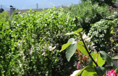 Ferienwohnung Riepertinger - Foto 8