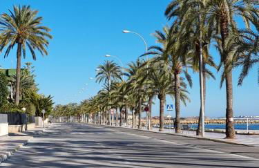 Mirador APARTMENTS BEACH FIRST LINE - Photo 47