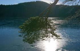 Chez Philopin - Foto 49