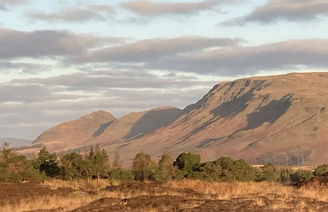 Luxury and Peaceful 1-bed Roundhouse With Hot Tub - Foto 16