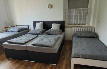 Privileg - NewTime - Foto 18