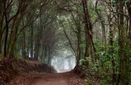 CASA RURAL LIMÓN Y SOL - Foto 36