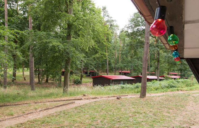 Natura-Familienpark Grimnitzsee Recreation Park - Foto 18