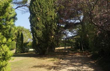 Le Domaine des Pins - Foto 10