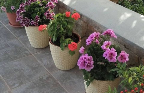 Cozy Apollon Villa, Sea View, Next To Galaxidi - Photo 22