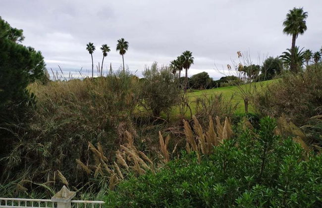 T3 Sra da Rocha by Casas & Papéis - Foto 14