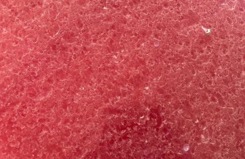 Paraíso Joyosa - Foto 49