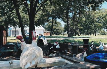 Hidden Meadow - rustic hideaway - Foto 30