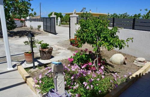 Da Vinci kavouropetra - Foto 7