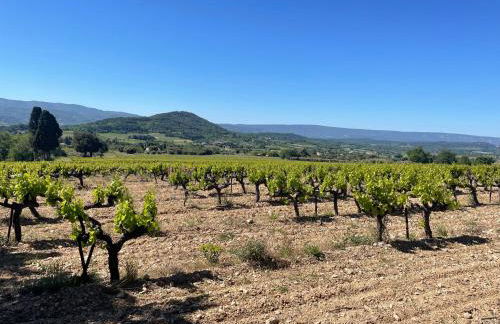 Mas de la canopée-Luberon - Foto 26