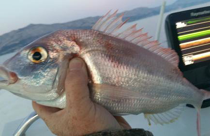 Apartments " Happy villa " - Photo 12