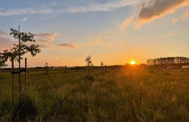 Holiday Home in Oisterwijk With Private Pool - Foto 37