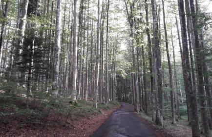 Monolocale Il Capriolo - Abetone - Foto 43