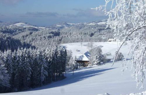 on the Willmann farm - Foto 7