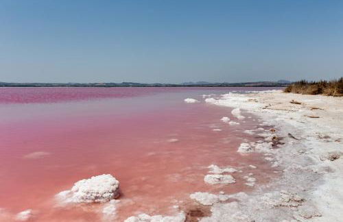 Apartamento Esclusivo con Piscina e Giardino - Foto 22