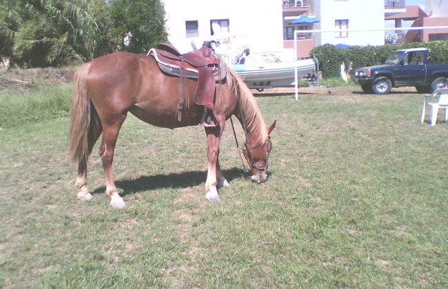 Alexandros M - Foto 35