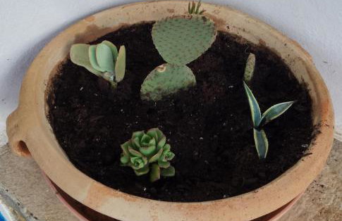 Serenity Maisonnette - Foto 10