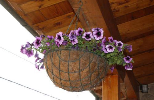 La Casa de Consuelo 3 - Foto 25