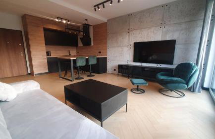 Apartament LOFT - Foto 7