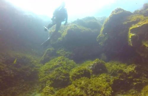 Casa Poesía de El Hierro - Poetry House of El Hierro, situated in the center of El Pinar - Foto 58