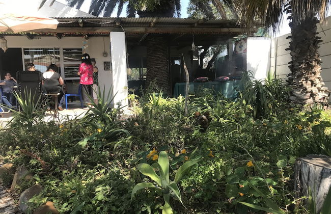 Melkbos Seagulls Lapa - Foto 21