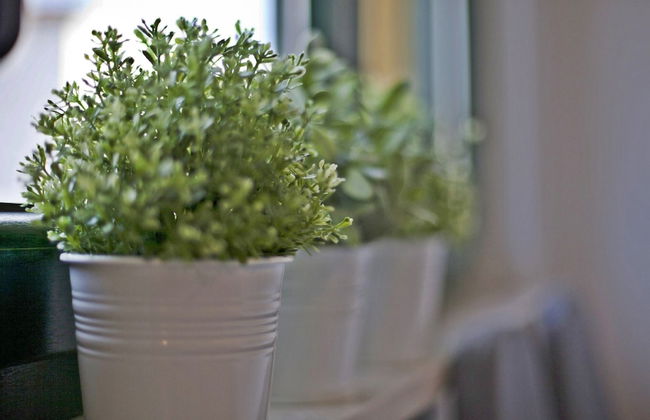 Apartments Roses - Foto 69