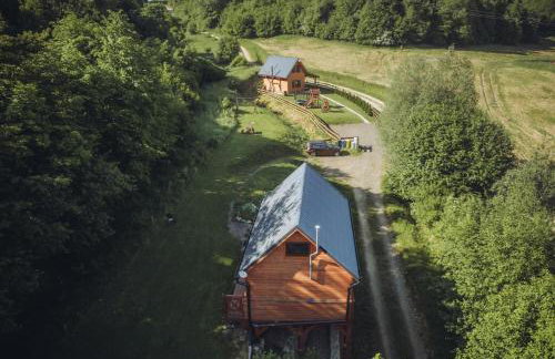 Szalejówka Domki - Foto 57