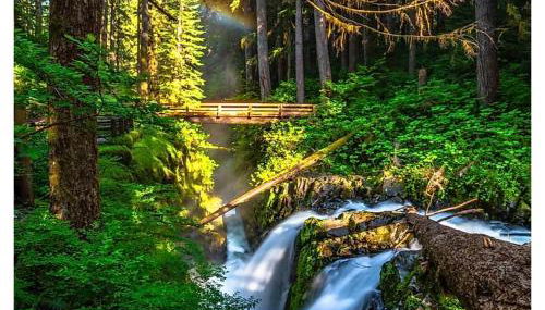 A Relaxing Getaway-A Backwoods Cabin SolDuc River - Foto 2