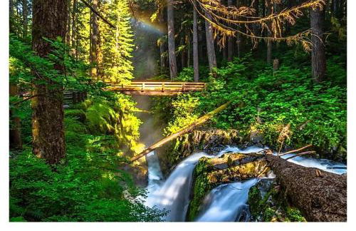 A Relaxing Getaway SolDuc 1 - Foto 7