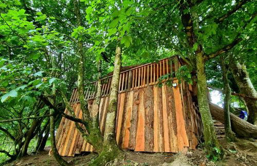 Tree House - Photo 17