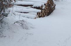 Alter Werkstatt - Foto 32