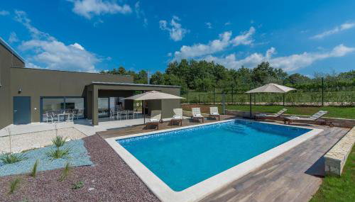 Terra - Foto 2, Other