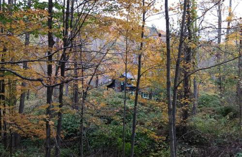 Mountain Farmhouse (The Lorca, Catskills) - Foto 12