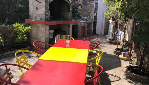 Lipovac resort Ficus - Photo 5, Garden