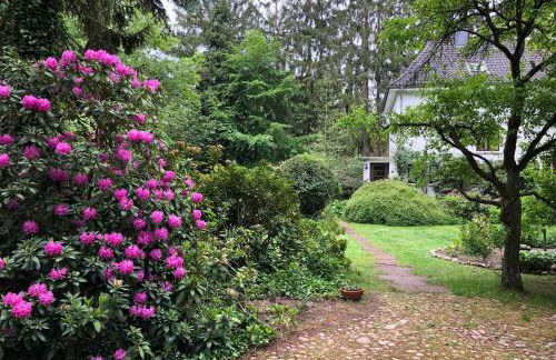 Ferienhaus Hudemühlen - Photo 9