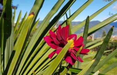 DAS MATSCHER Residence & Garden Hotel - Foto 45