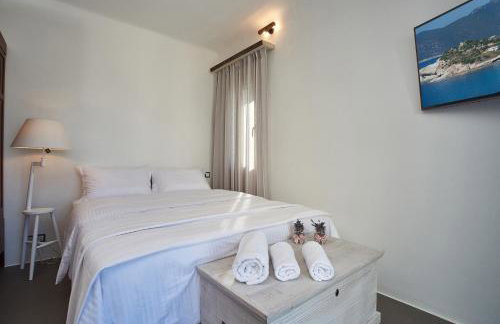 SkiNAmmos Eco Villas - Photo 88