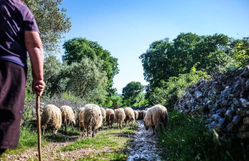 Stone House Kula Milica - Foto 45